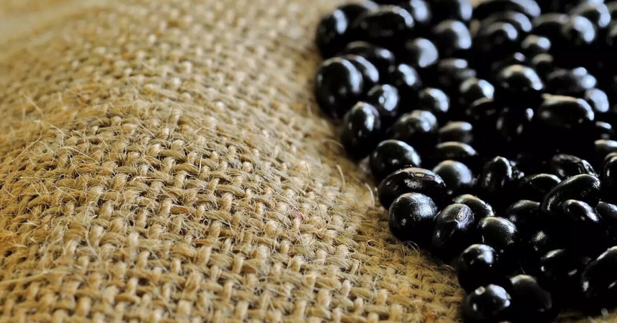 Soja preta e controle de peso: Entenda a ciência por trás do emagrecimento