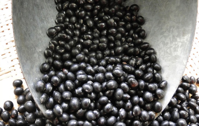 Benefícios da soja preta para a saúde cardiovascular e hormonal