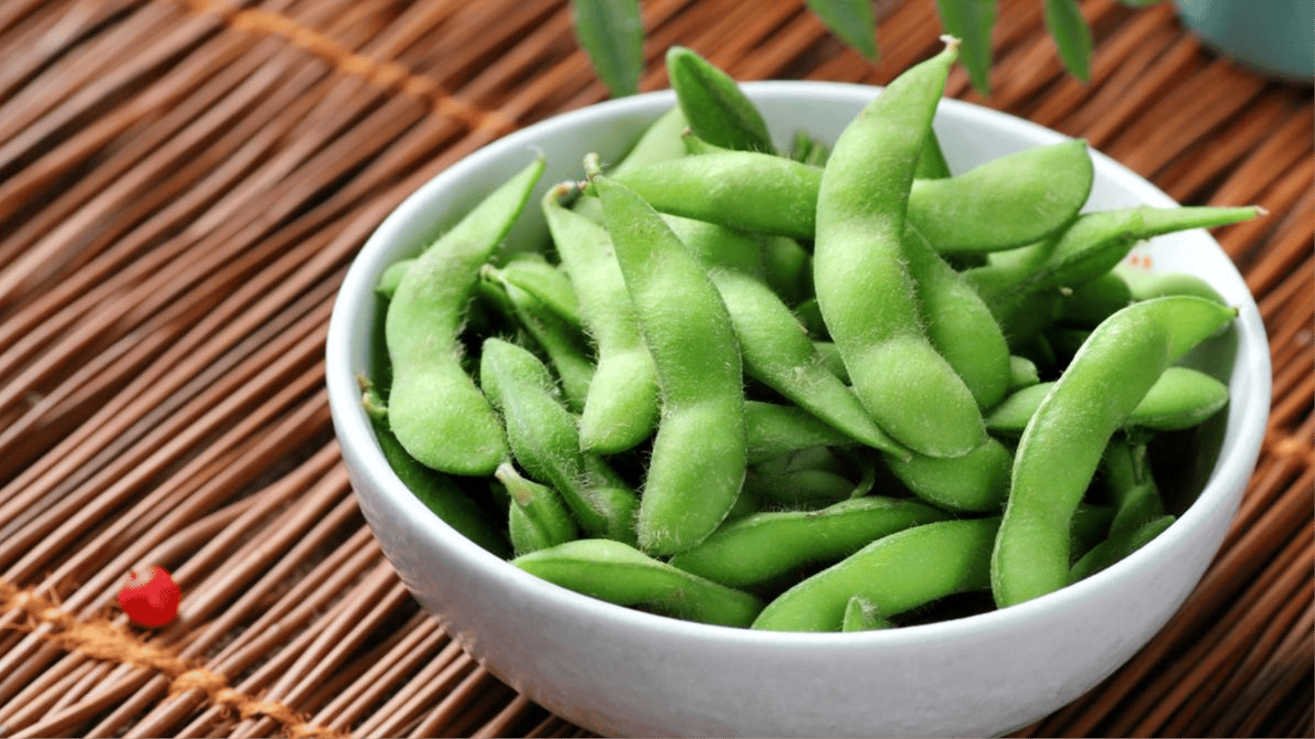 5 Receitas Rápidas com Edamame