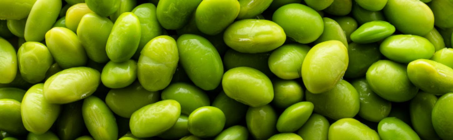 Edamame: O Superalimento Perfeito para Lanches Saudáveis