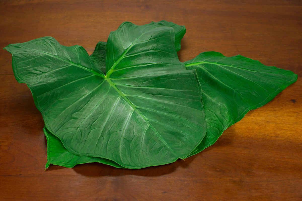 Receita de Taioba Refogada Tradicional Mineira