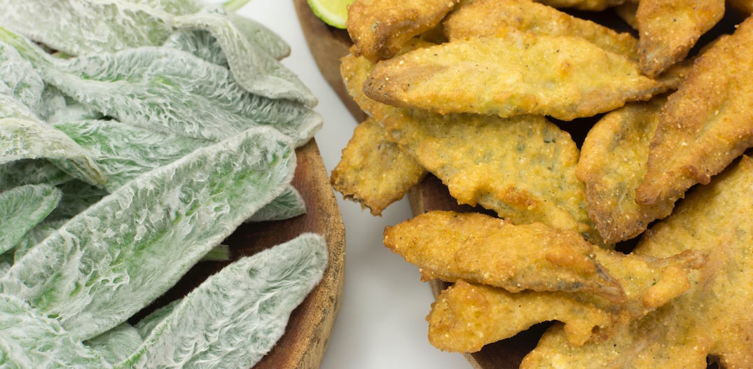 benefícios da taioba comestível