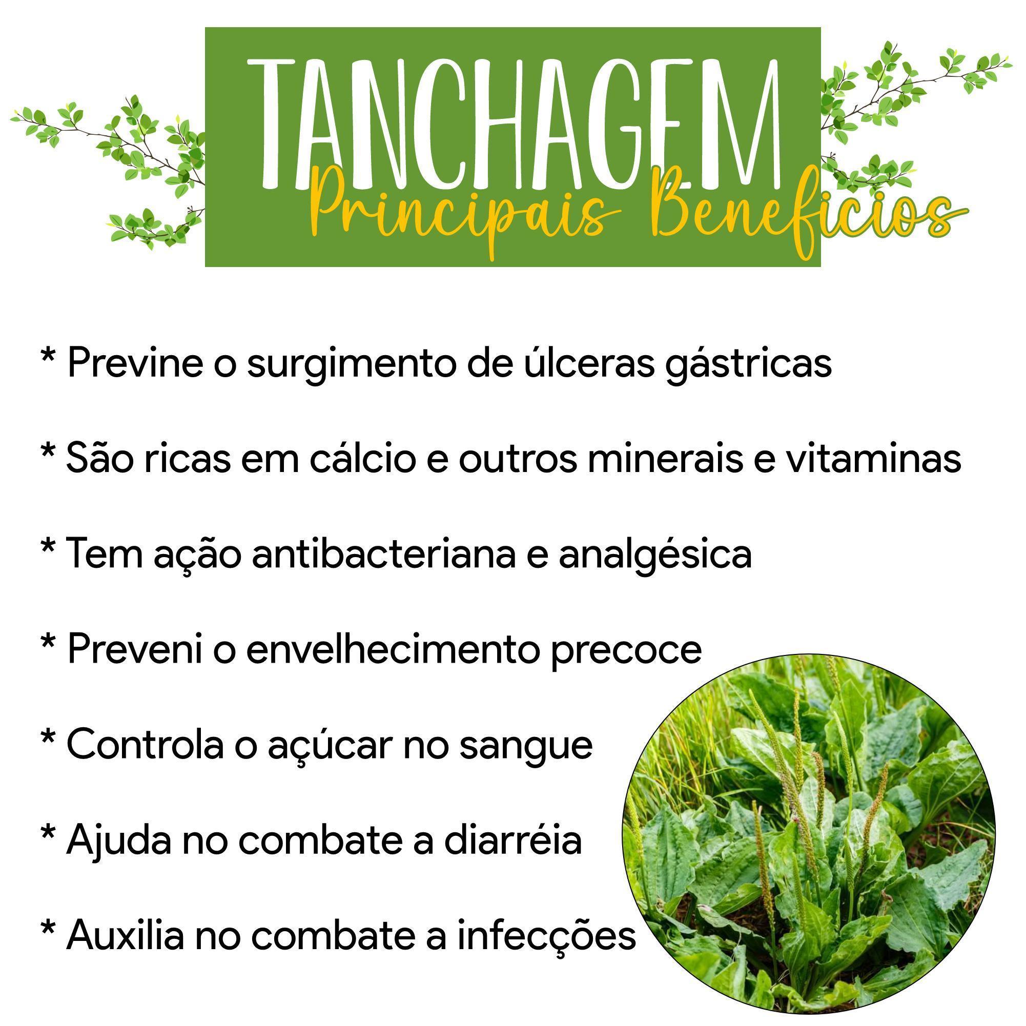 benefícios da tansagem