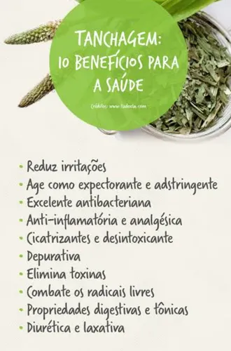 Contraindicações do Uso da Tanchagem: Quem Deve Evitar?