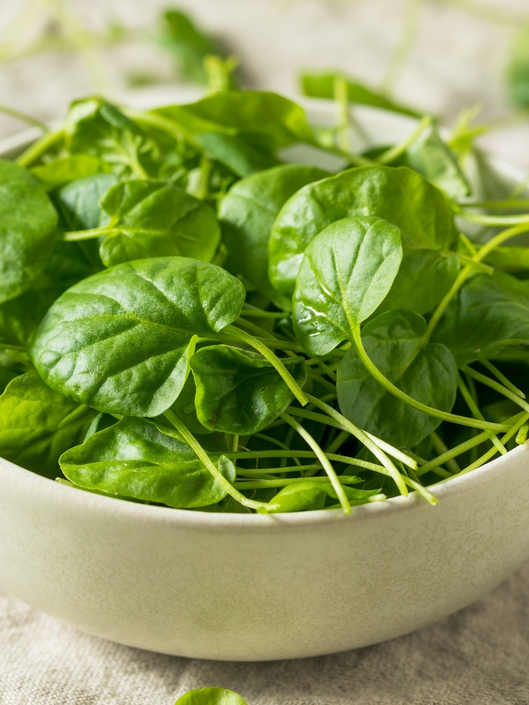 1. Receita de Tônico Capilar de Agrião para Crescimento Acelerado