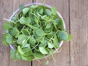 5. O Poder do Agrião na Proteção e Brilho dos Cabelos