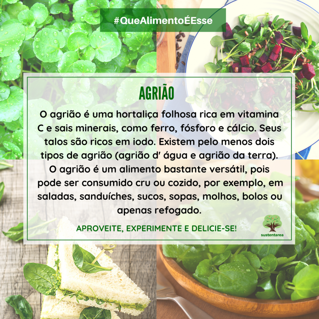 2. Como o Agrião Combate a Queda de Cabelo: Ciência e Evidências