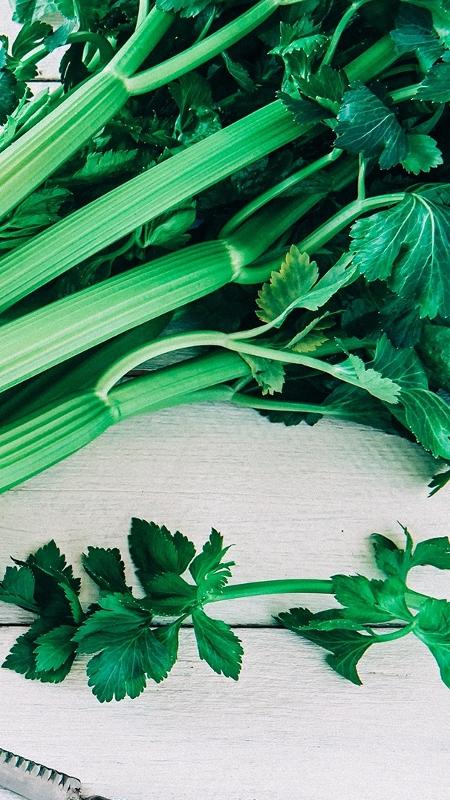 Receitas com aipo para controle de pressão