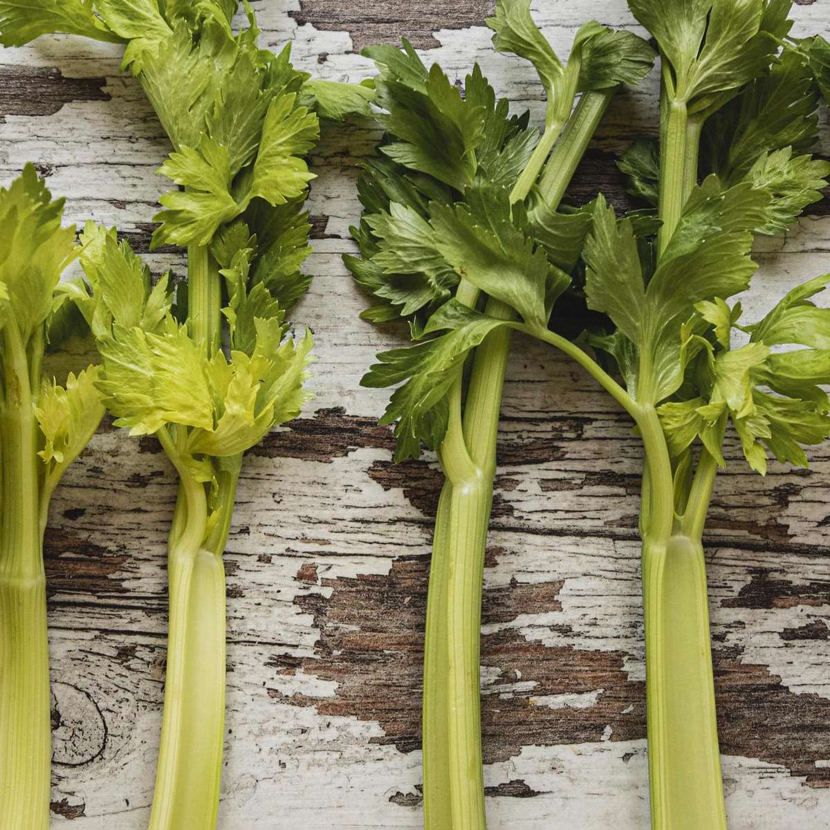 Mitos e verdades sobre o suco de aipo