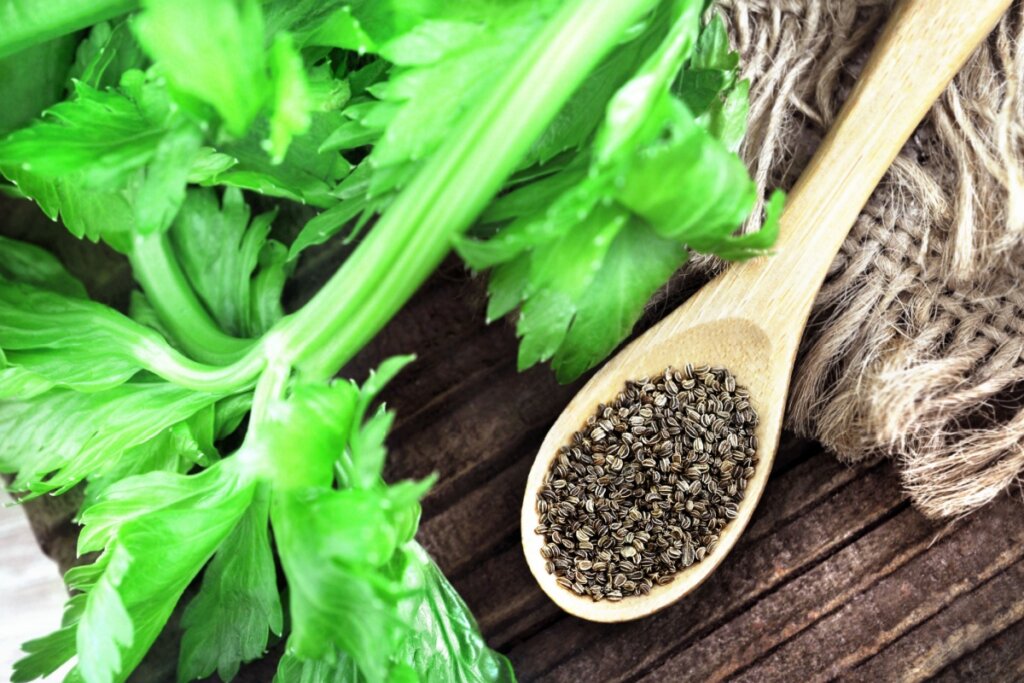 Aipo vs. outros diuréticos naturais