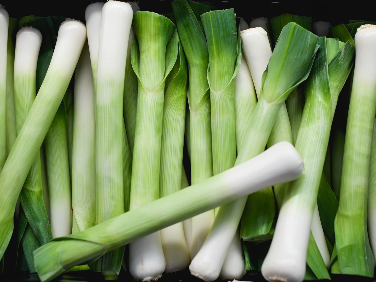 5 ideias de títulos:
1. Alho-Poró: O Superalimento Verde para sua Saúde
2. Descubra os Poderes do Alho-Poró: Da Imunidade à Digestão
3. Alho-Poró na Dieta: Benefícios Incríveis que Você Precisa Conhecer
4. Como o Alho-Poró Pode Transformar sua Saúde Cardiovascular
5. Alho-Poró: Um Aliado Natural Contra o Envelhecimento Precoce