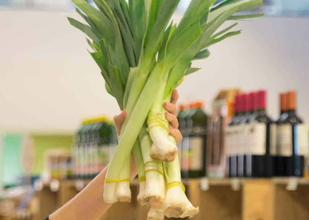 benefícios do alho poró