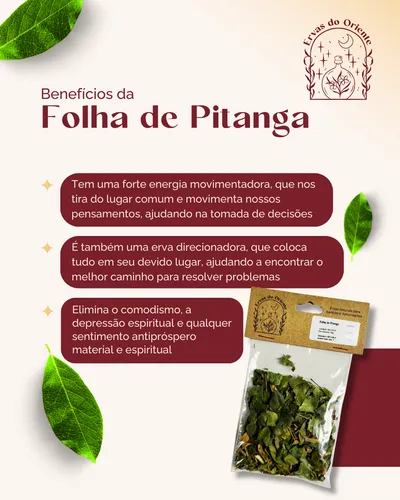 Propriedades Terapêuticas da Folha de Pitanga: Um Guia Completo