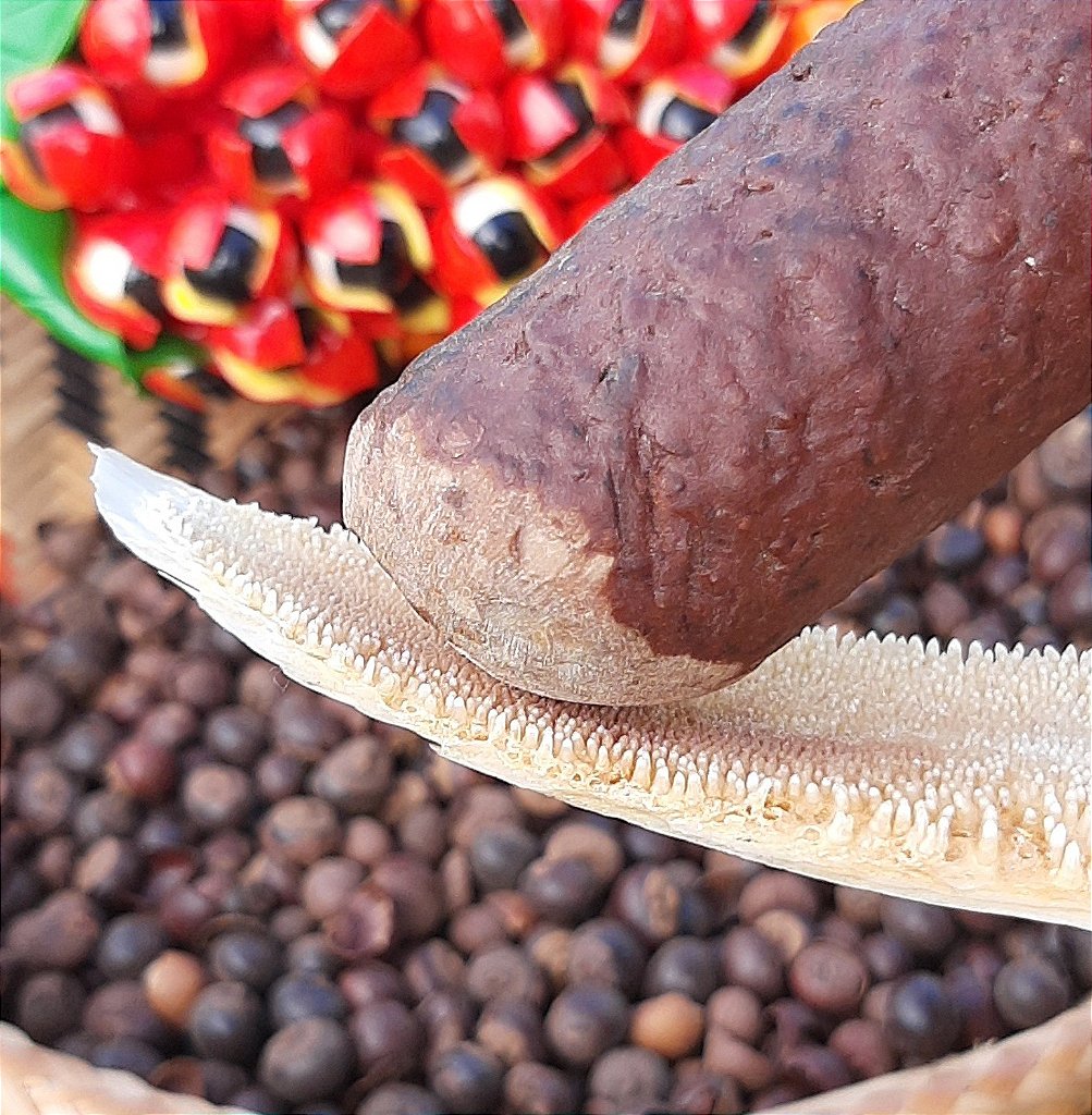 benefícios do bastão de guaraná