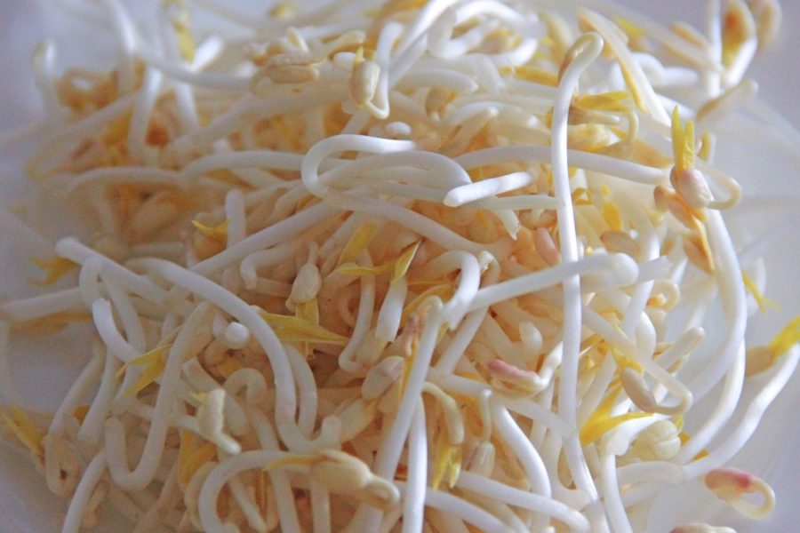 Os Mitos e Verdades sobre o Consumo de Brotos de Feijão