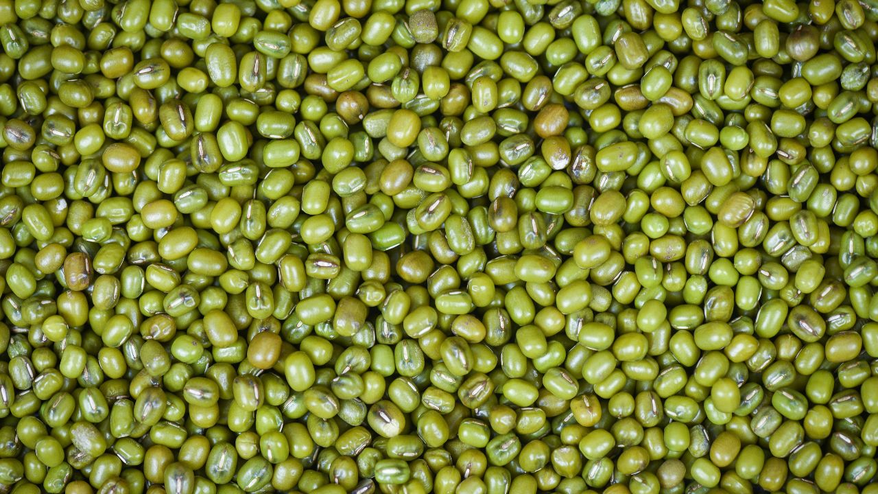 benefícios do broto de feijão (moyashi)