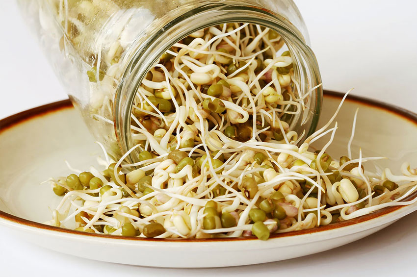 5 Receitas Rápidas e Saudáveis com Moyashi