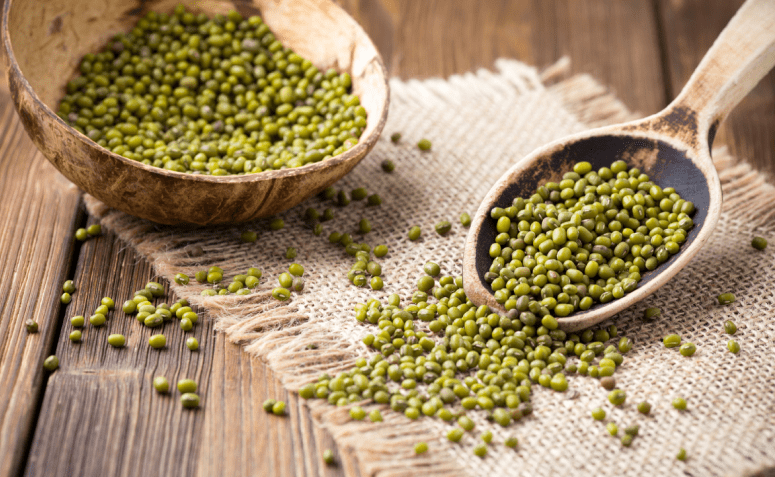 Moyashi vs. Outros Brotos: Qual o Mais Nutritivo?