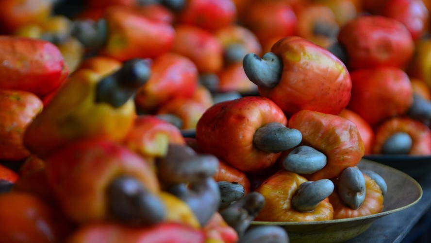 Como o caju combate o envelhecimento precoce