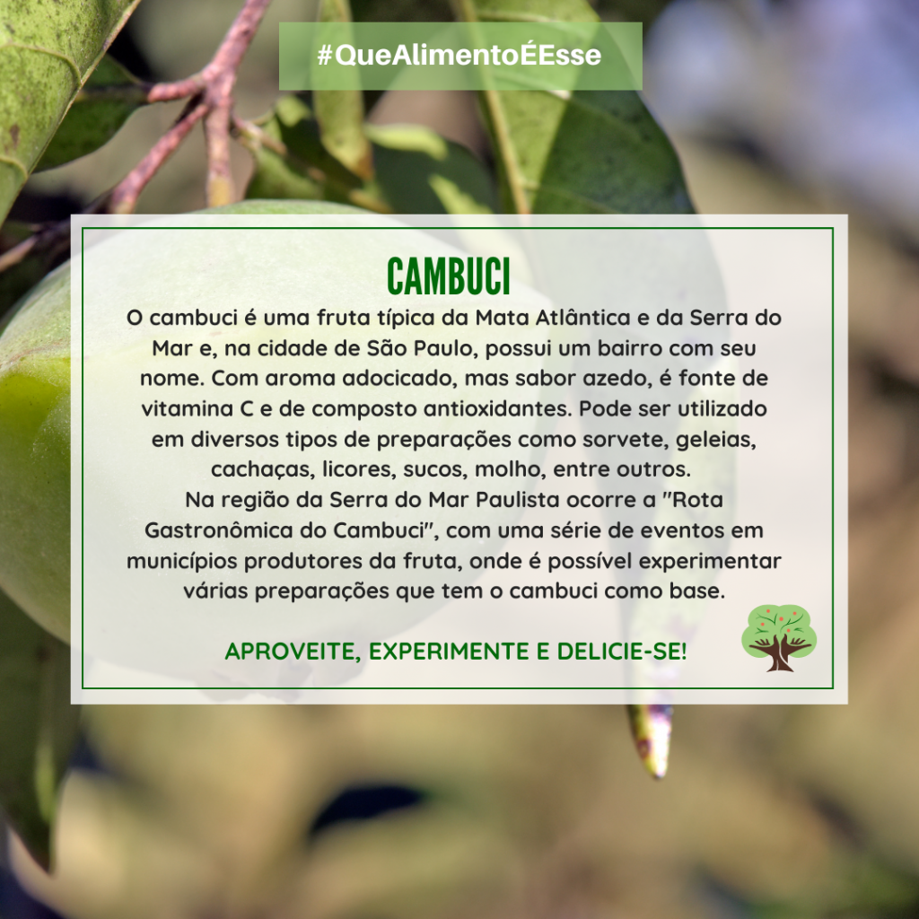 Cambuci na culinária: além dos sucos