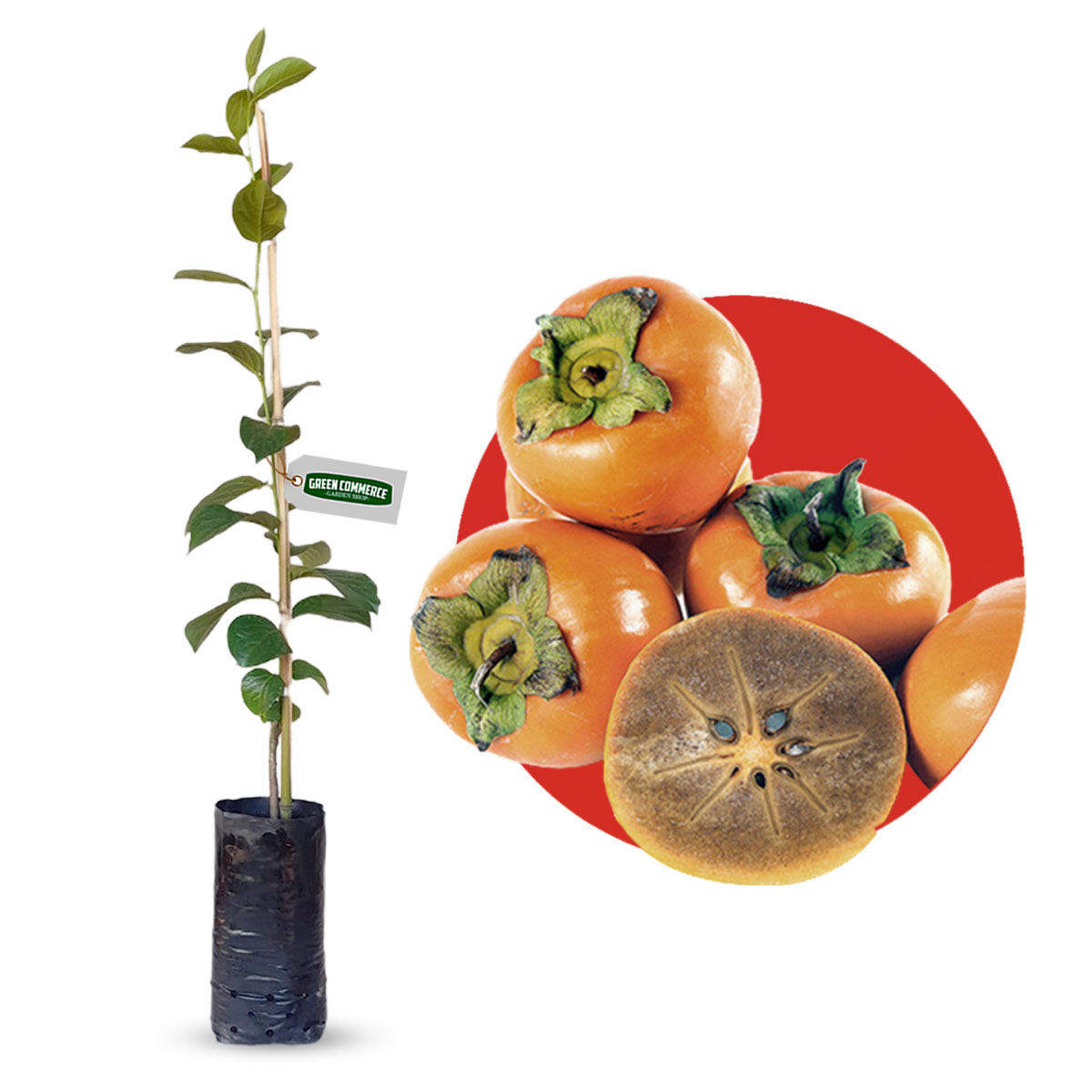 Caqui e Diabetes: Como Consumir com Segurança