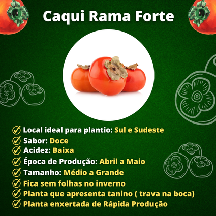 benefícios do caqui rama forte
