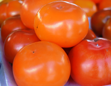 benefícios do caqui rama forte