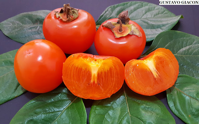 Caqui Rama Forte vs. outras variedades: qual escolher?