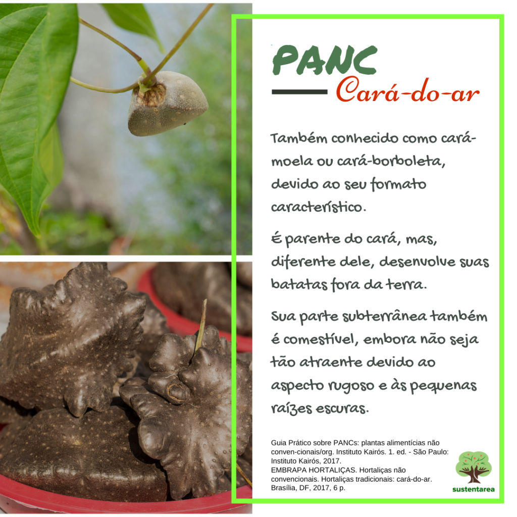 10 Benefícios Surpreendentes do Cará-Moela para a Saúde