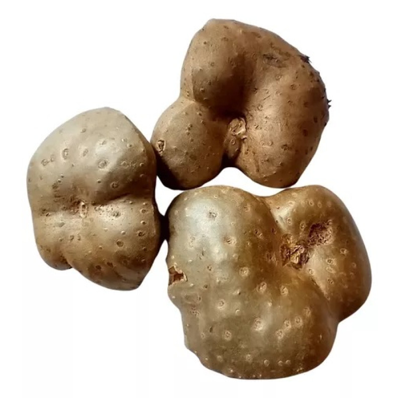 Receitas Deliciosas e Saudáveis com Cará-Moela