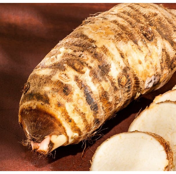 benefícios do cará-moela