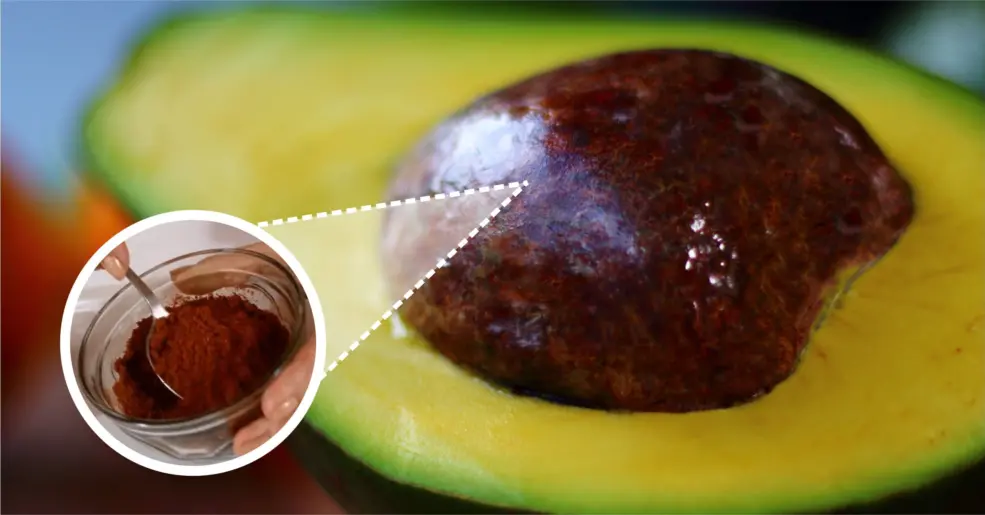 Benefícios do Caroço de Abacate para a Pele