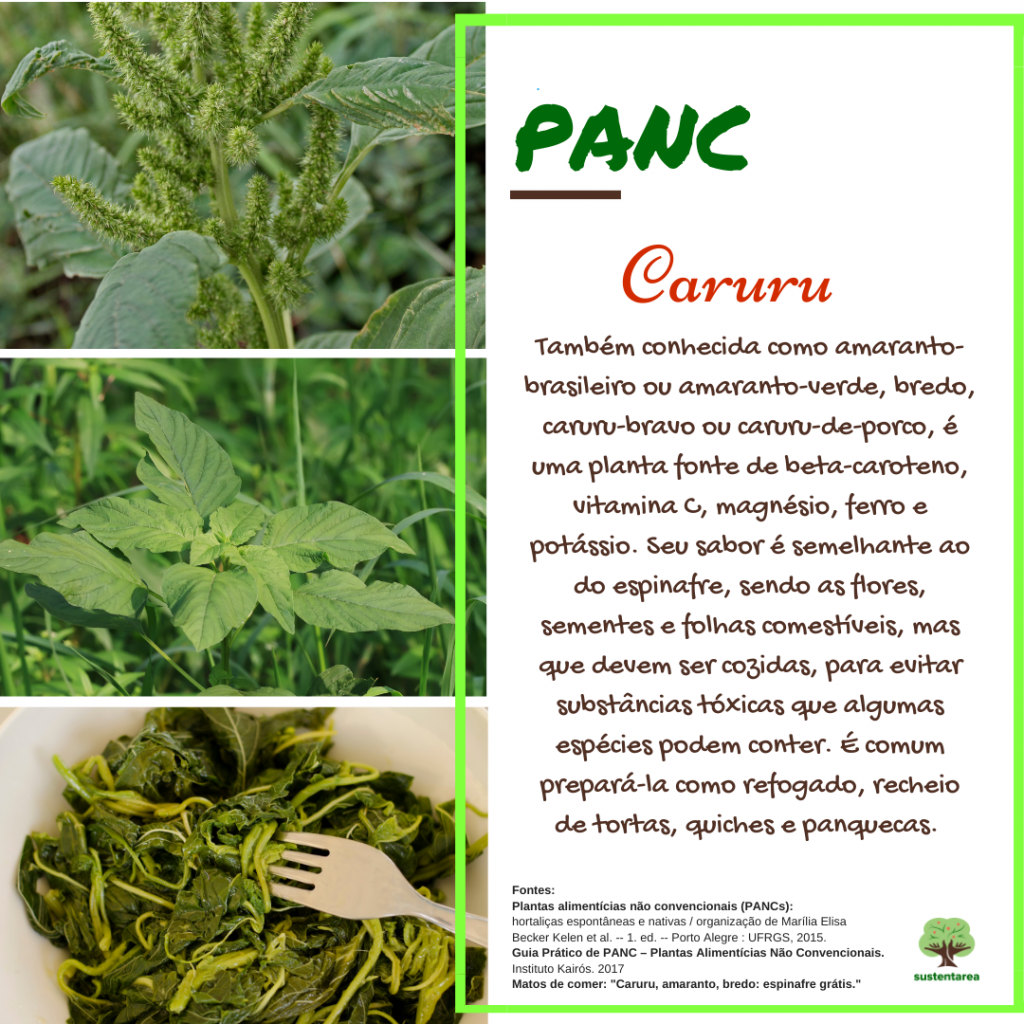 benefícios do caruru (planta)