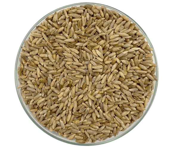 benefícios do centeio