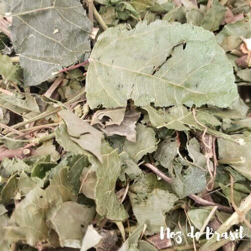 5 Mitos e Verdades sobre o Chá de Folha de Maracujá