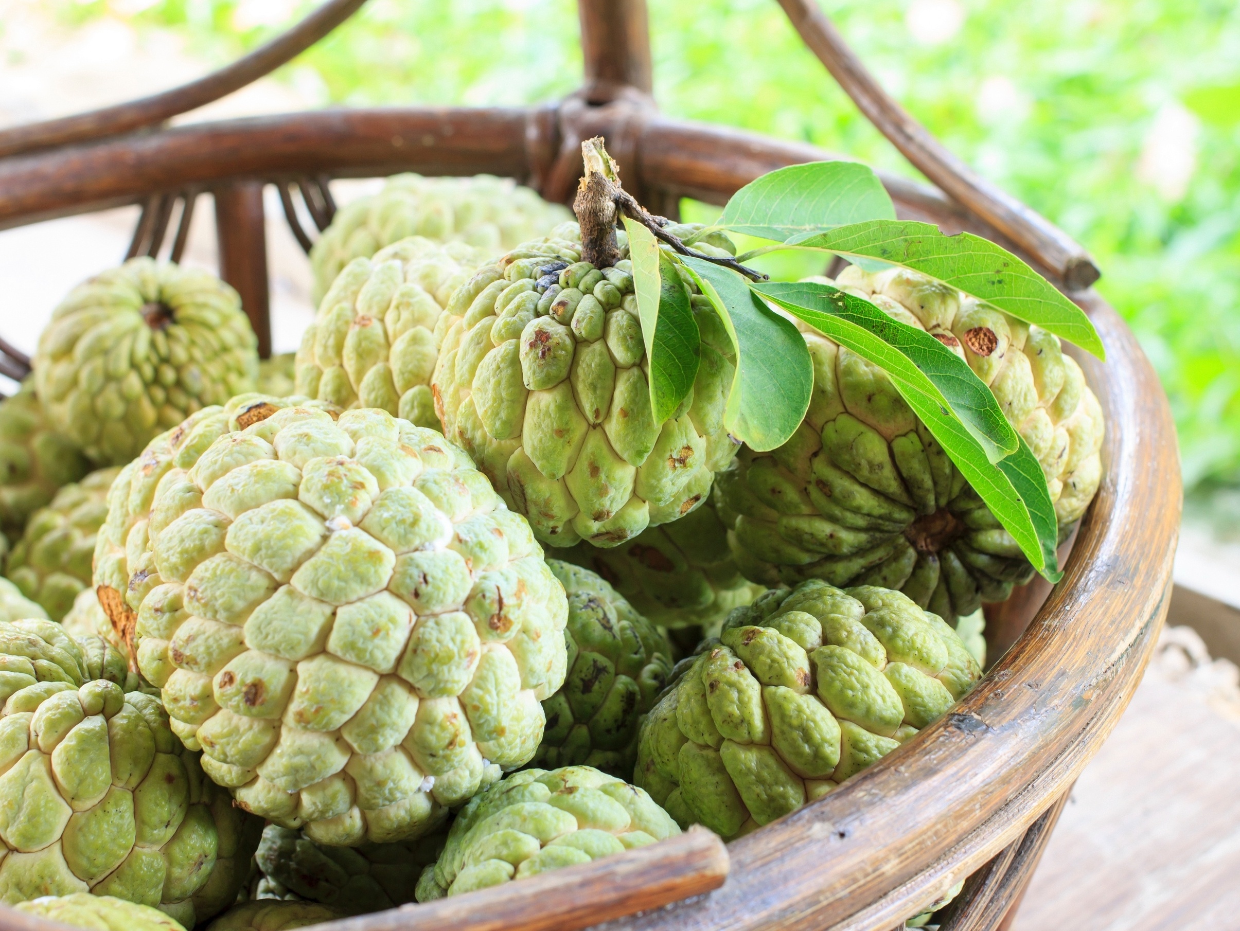 benefícios do chá de fruta do conde
