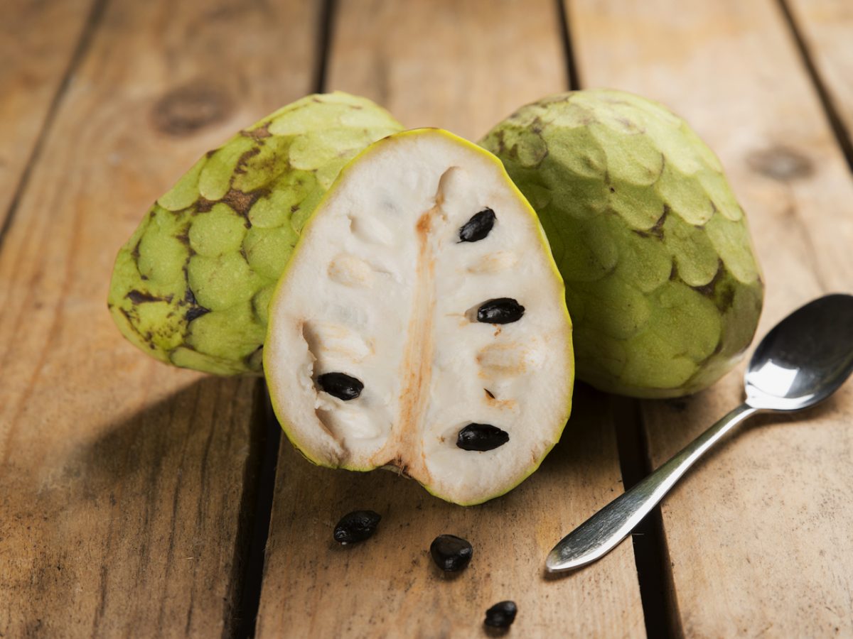 Chá de Fruta-do-conde: Alívio Natural para Dores Musculares