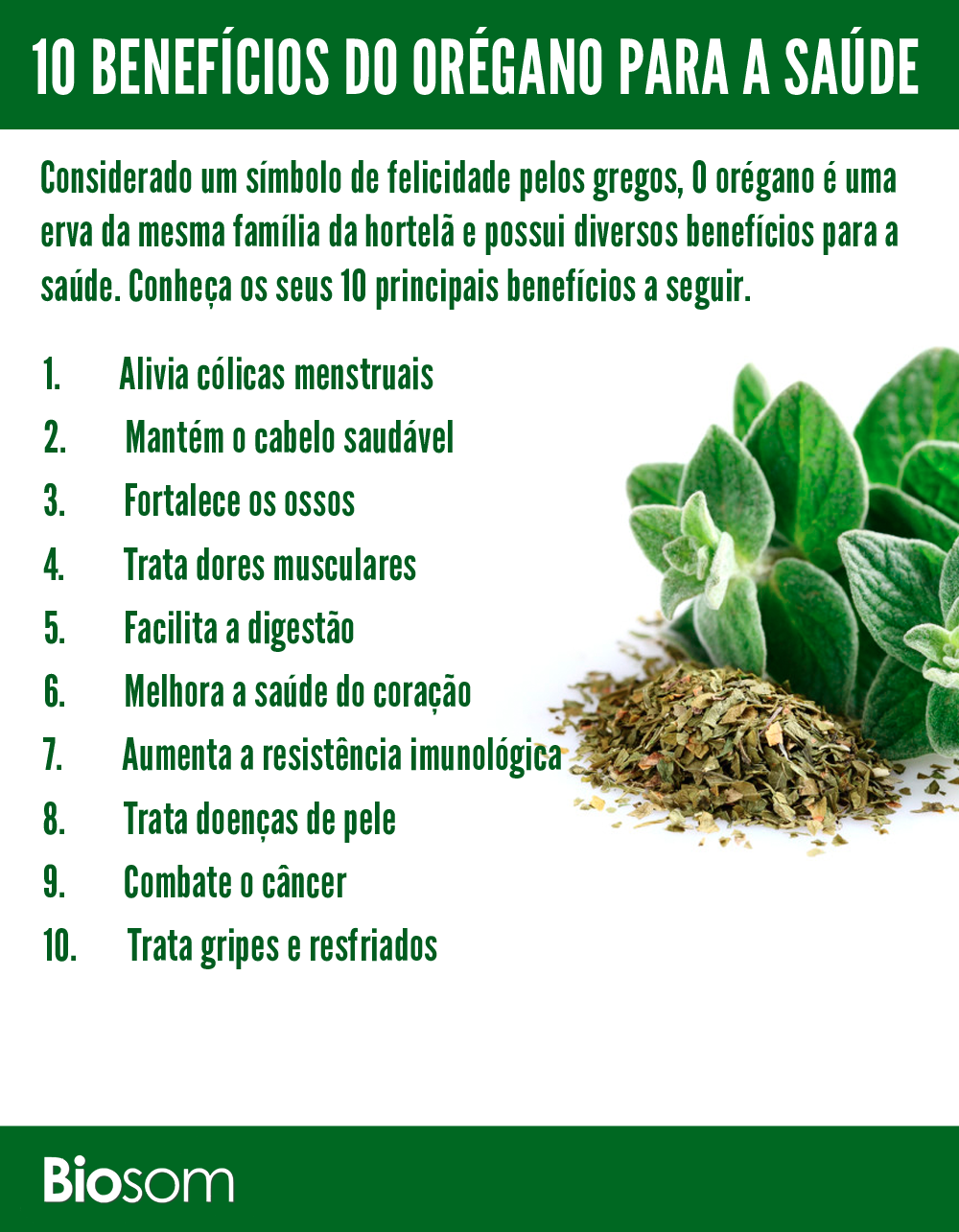 benefícios do chá de orégano