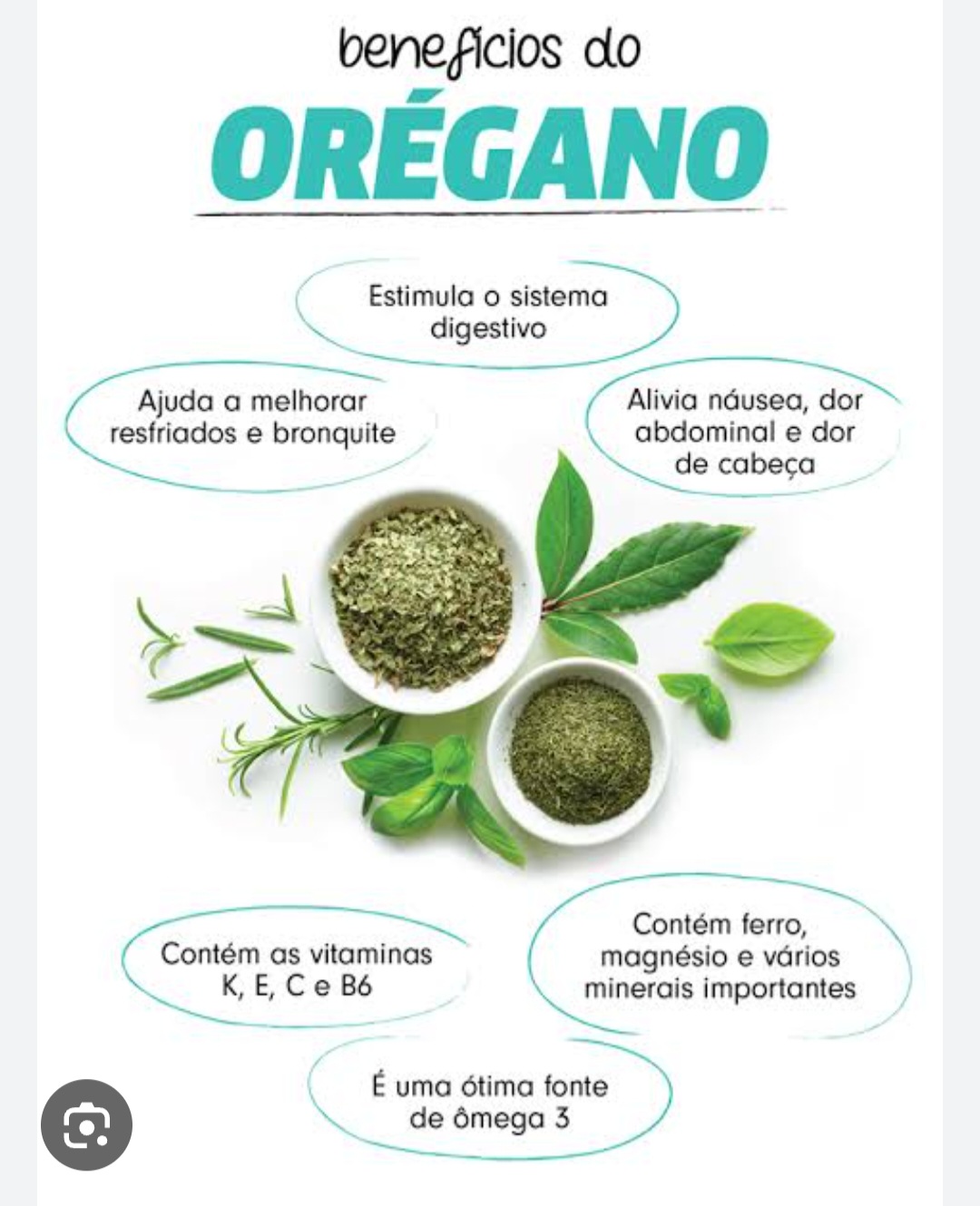 Orégano na Culinária: Mais que um Tempero