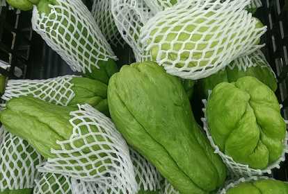 Chá de folhas de chuchu: Benefícios e modo de preparo