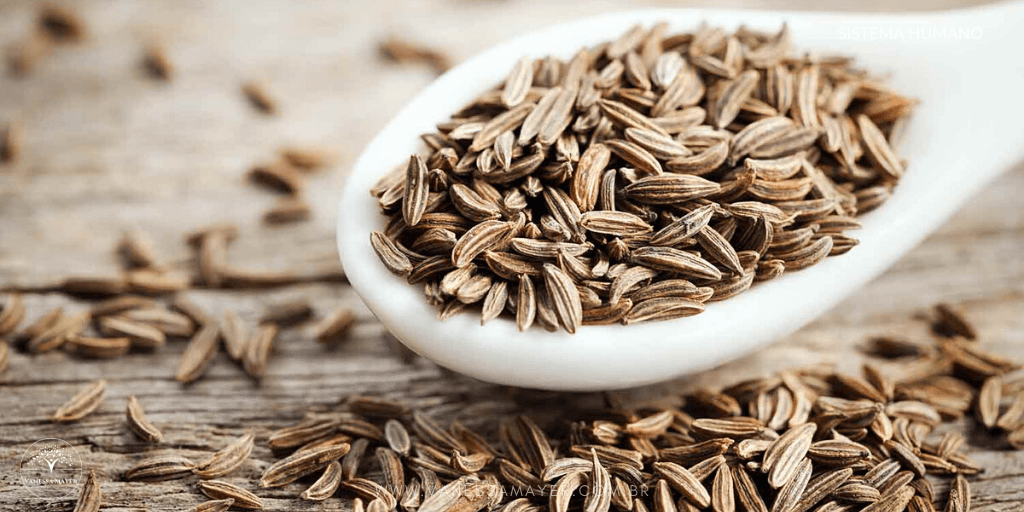 Cominho e Diabetes: Entenda a Relação