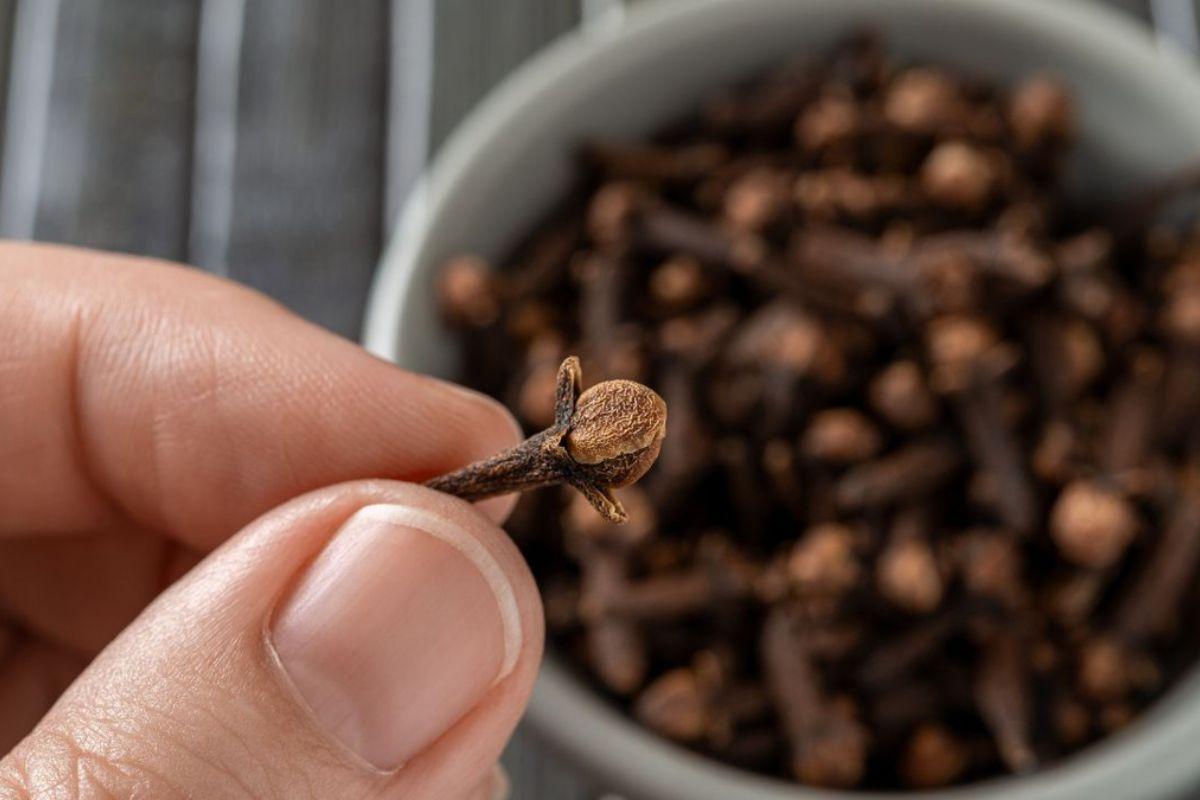 5 formas criativas de usar cravo da índia na culinária