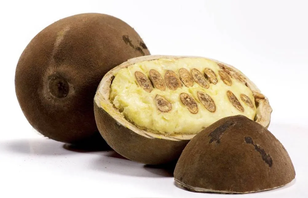 Como usar manteiga de cupuaçu em receitas caseiras de skincare