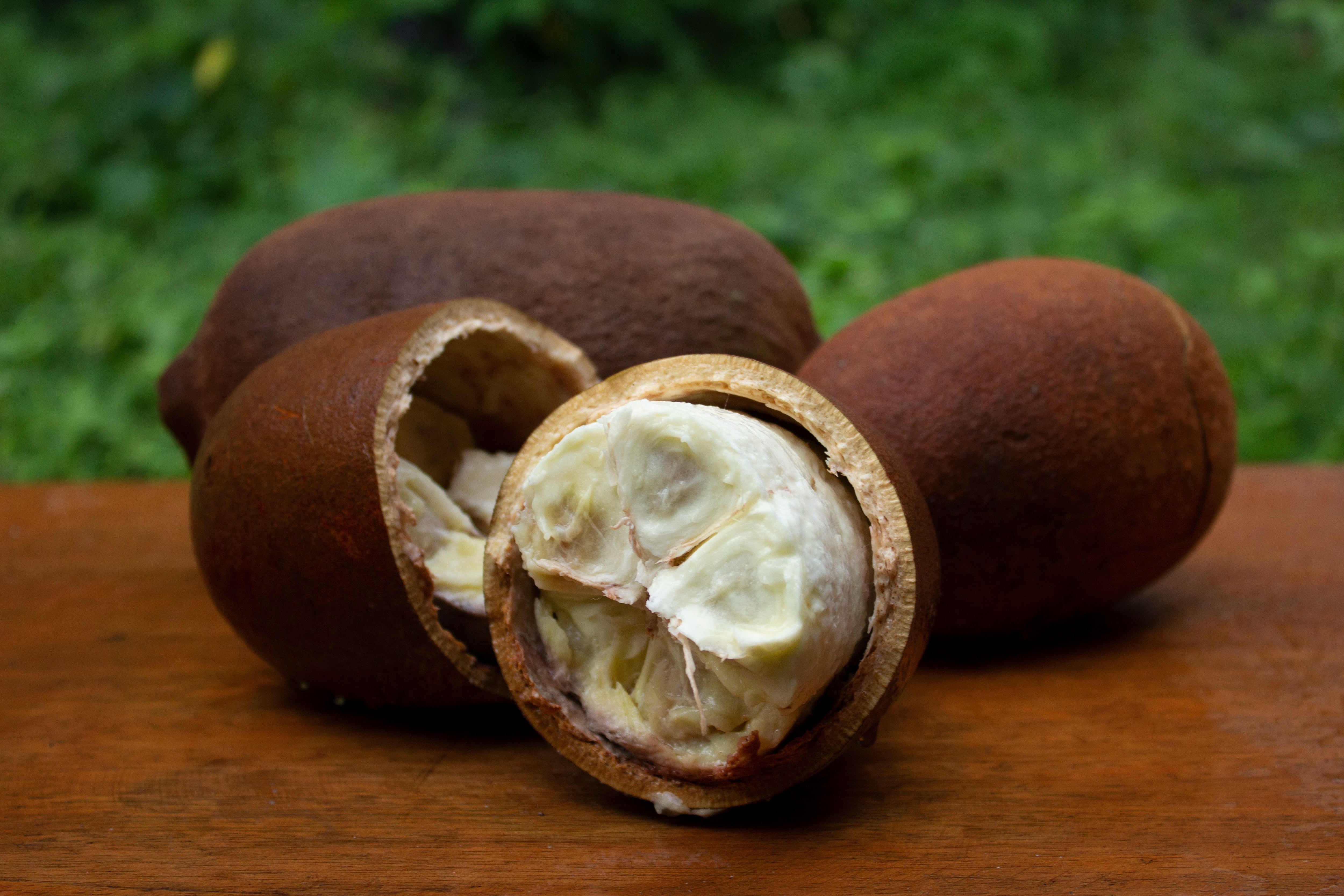 Manteiga de cupuaçu para cabelos: benefícios e aplicações