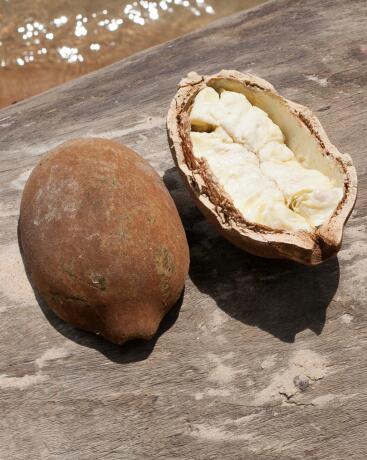 Dicas de Finalização para Cabelos Cacheados e Crespos com Manteiga de Cupuaçu