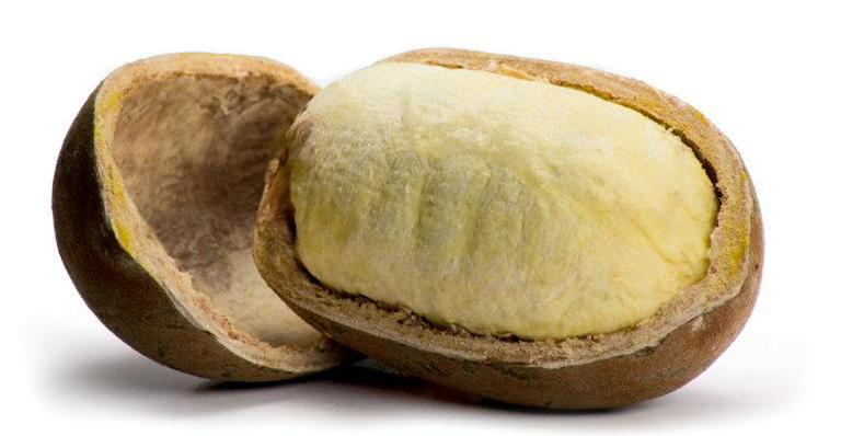 Guia Completo: Cronograma Capilar para Cabelos Secos