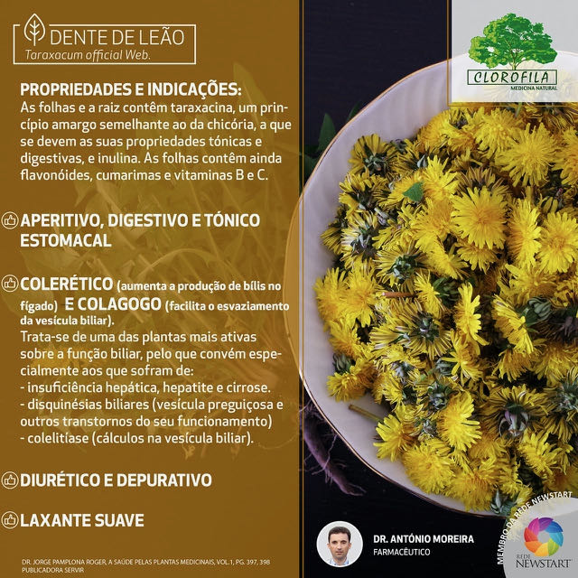 Como Incluir Folhas de Dente de Leão em Saladas Refrescantes