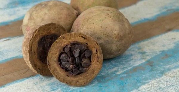 Jenipapo: Um Aliado Natural para a Digestão