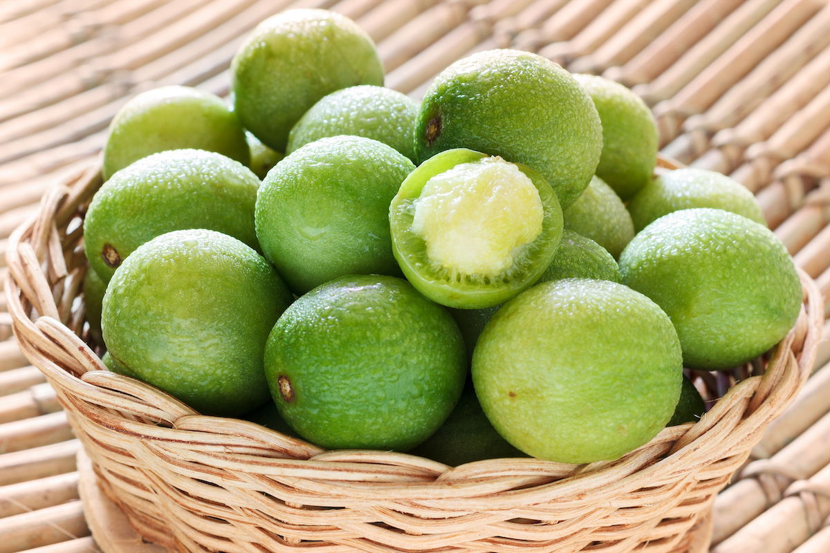 Umbu: A Fruta do Sertão e Seus Incríveis Benefícios para a Saúde