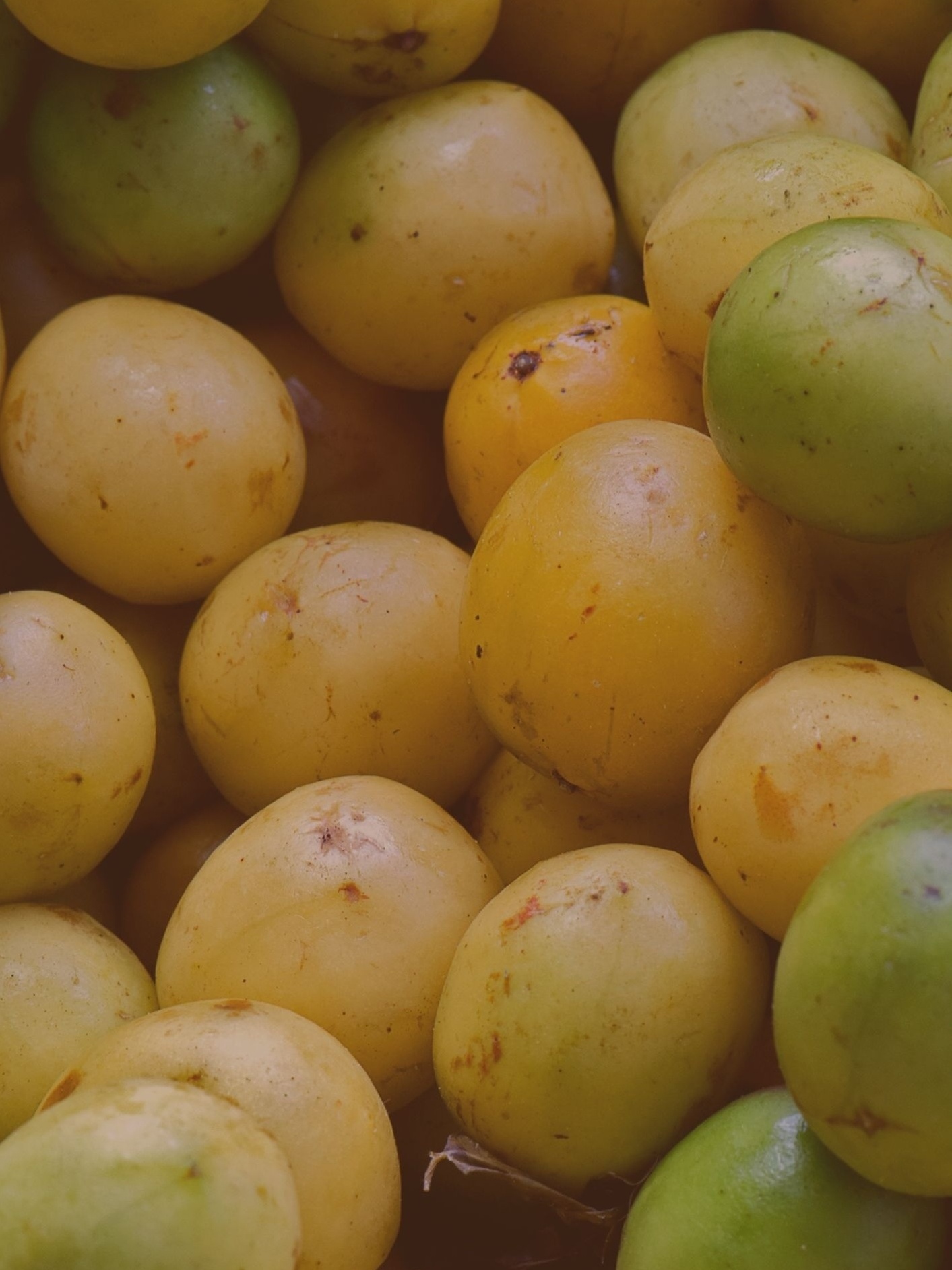 Doce de Umbu: Uma Delícia Nutritiva ou Armadilha de Açúcar?